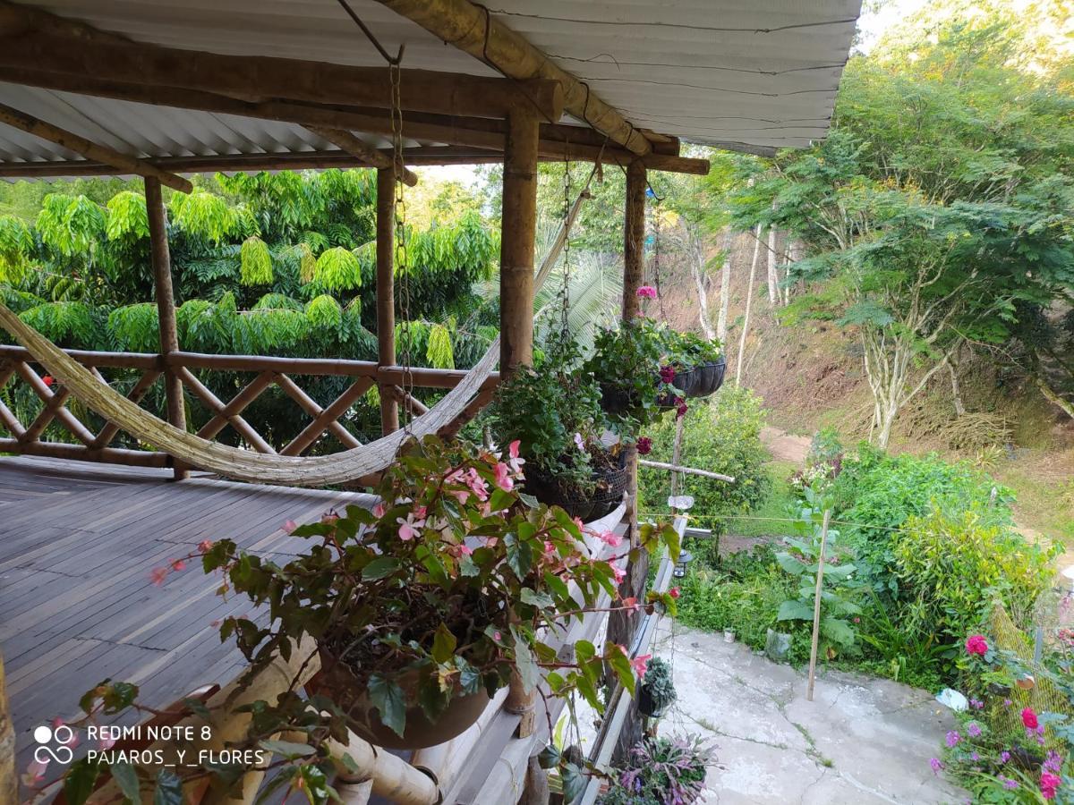 Country house Rural Pajaros Y Flores Los Andes (Antioquia)