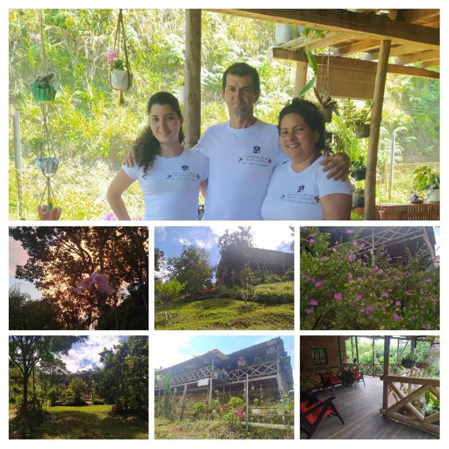 Rural Pajaros Y Flores