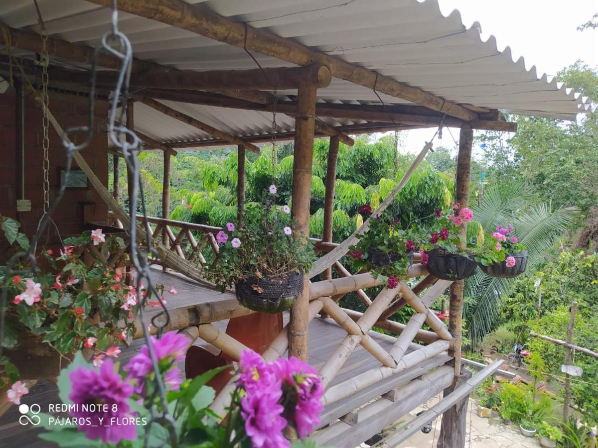Rural Pajaros Y Flores Country house