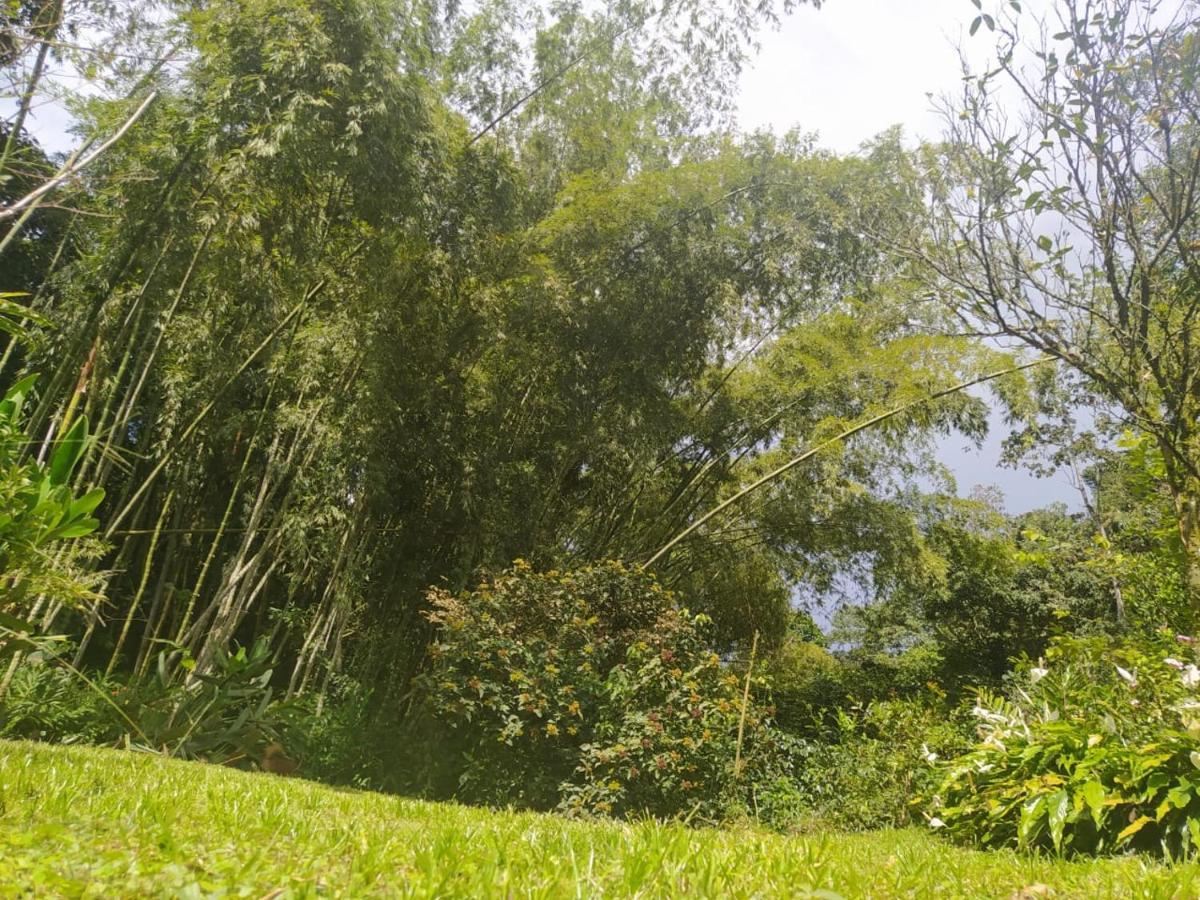 Country house Rural Pajaros Y Flores Los Andes (Antioquia)