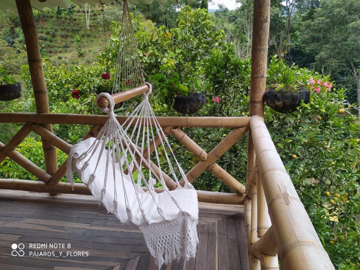 Rural Pajaros Y Flores Country house Los Andes (Antioquia)