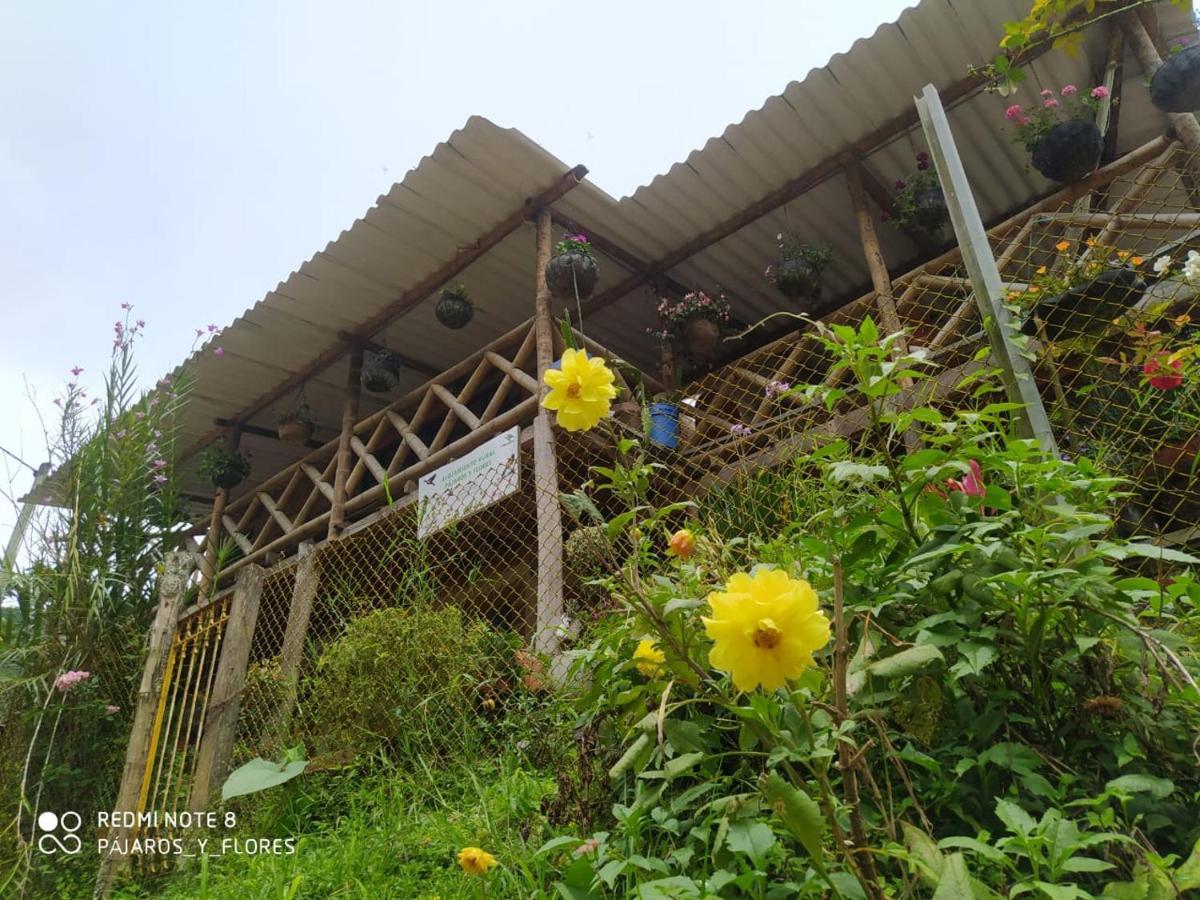Rural Pajaros Y Flores Country house