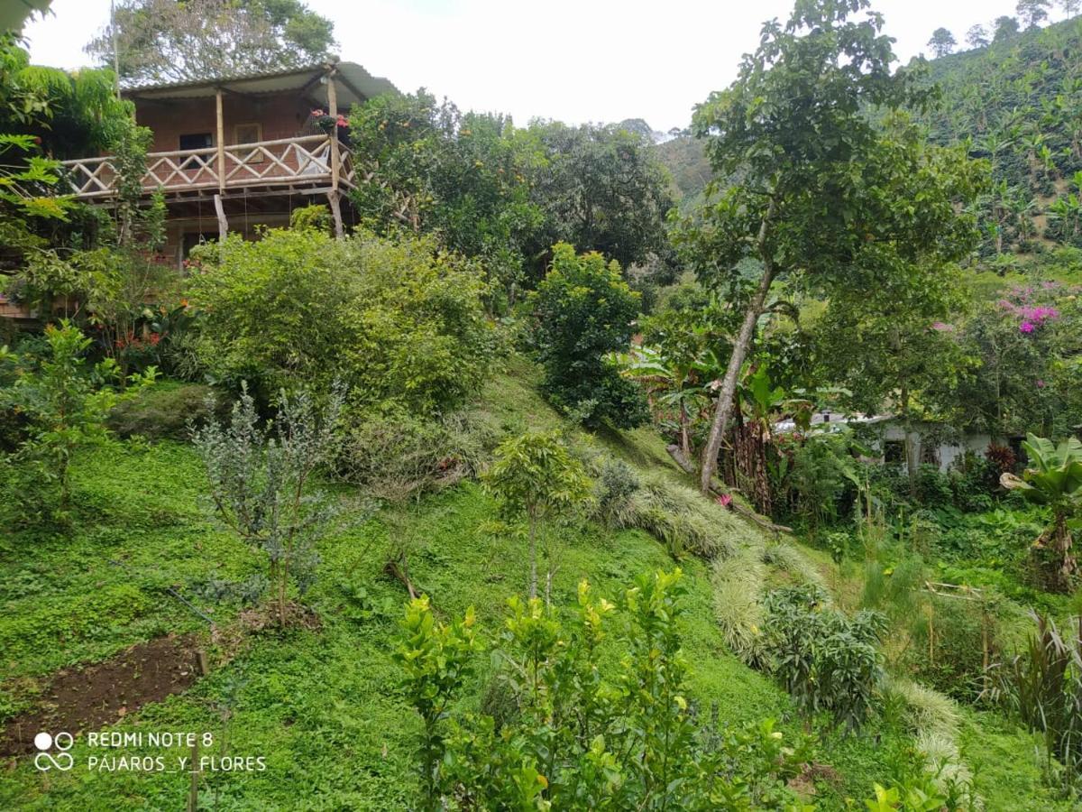Country house Rural Pajaros Y Flores *