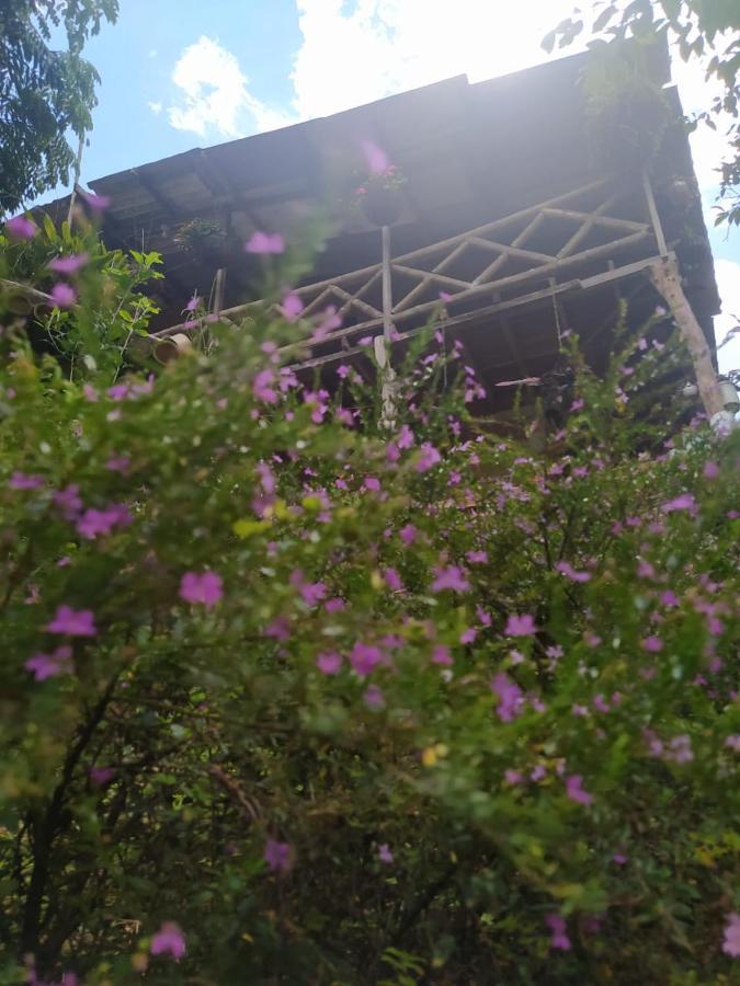 Country house Rural Pajaros Y Flores Los Andes (Antioquia)