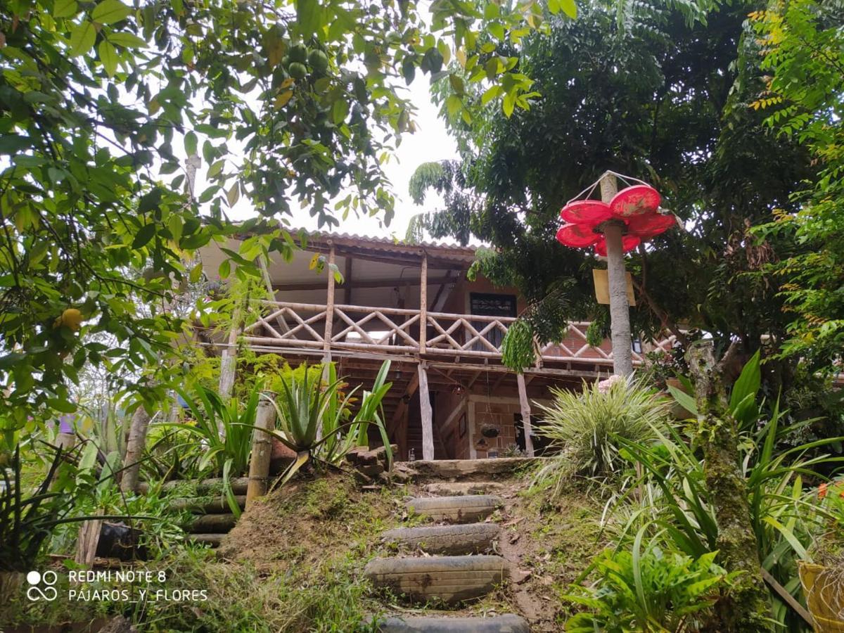 Rural Pajaros Y Flores Country house