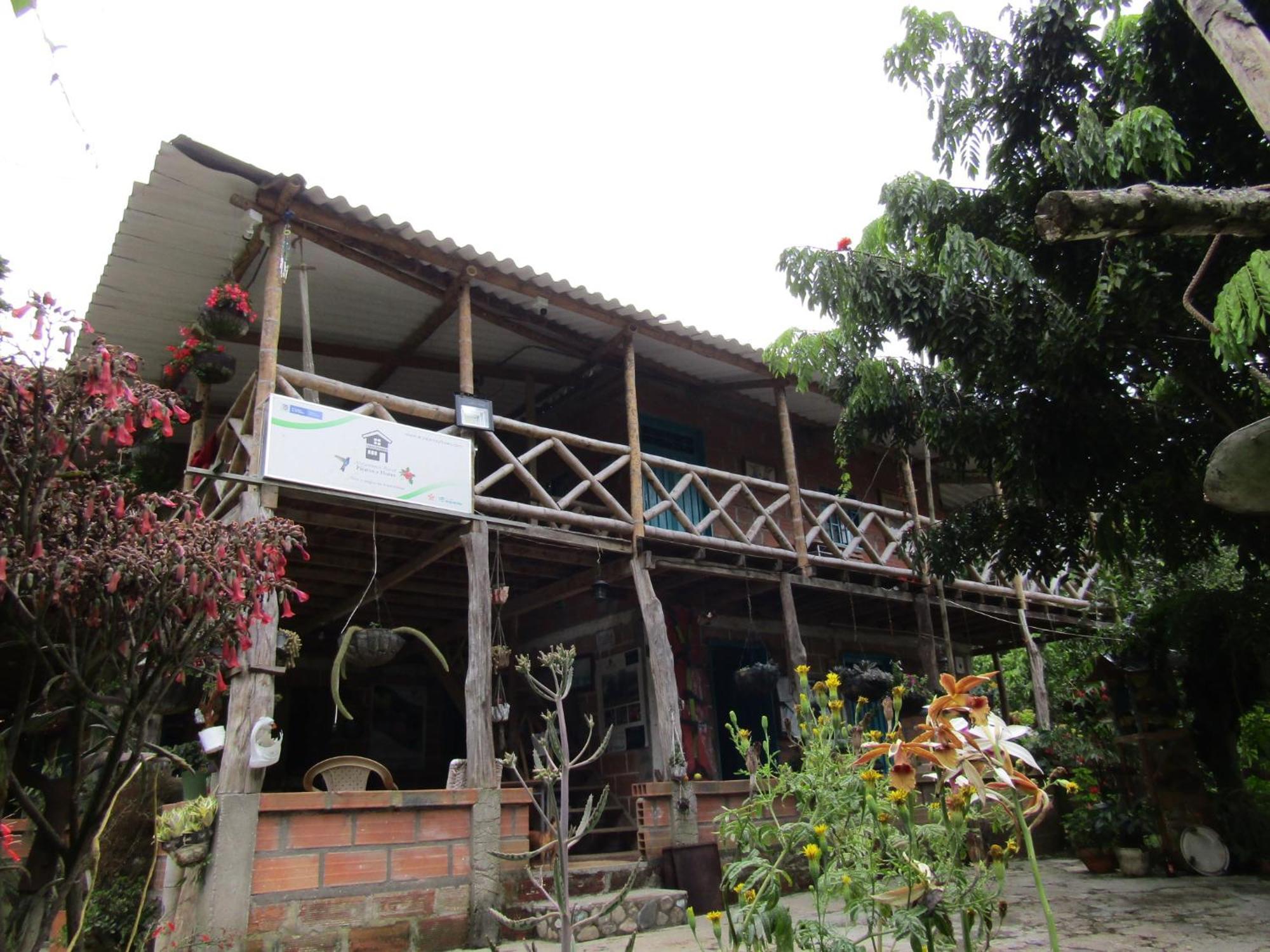 Rural Pajaros Y Flores