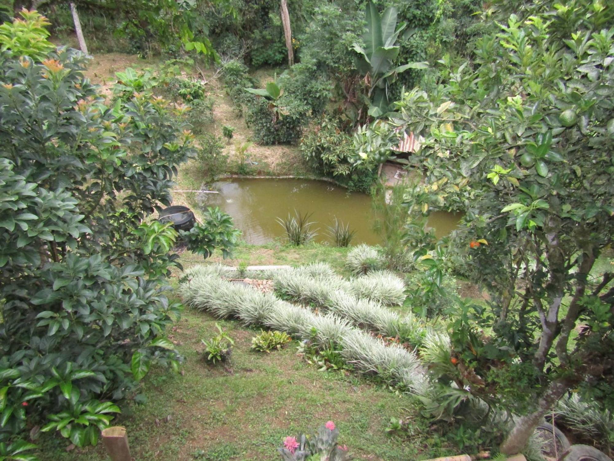 Rural Pajaros Y Flores *